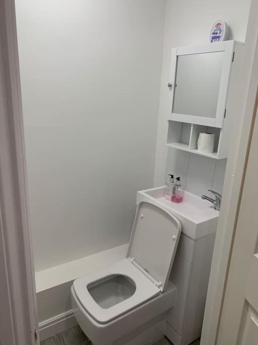 Beautiful 5Bedroom Hse-Contractor/Family/Corporate ダートフォード エクステリア 写真